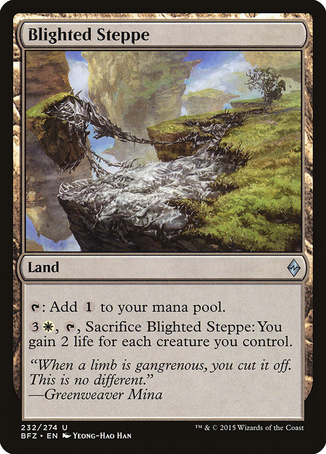 Blighted Steppe 232/274 (Battle for Zendikar) 