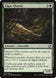 Algae Gharial 137/249 (Modern Masters 2015) 
