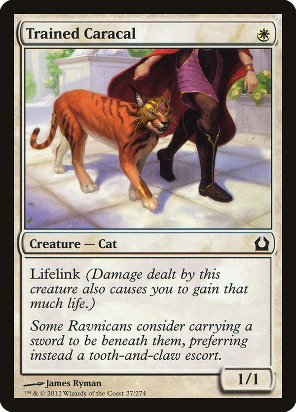 Trained Caracal 27/274 (Return to Ravnica) 