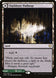 Darkbore Pathway // Slitherbore Pathway 254 (Kaldheim) 
