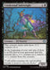 Creakwood Safewright 96/273 (Lorwyn Eclipsed) 