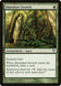 Abundant Growth 167/244 (Avacyn Restored) 