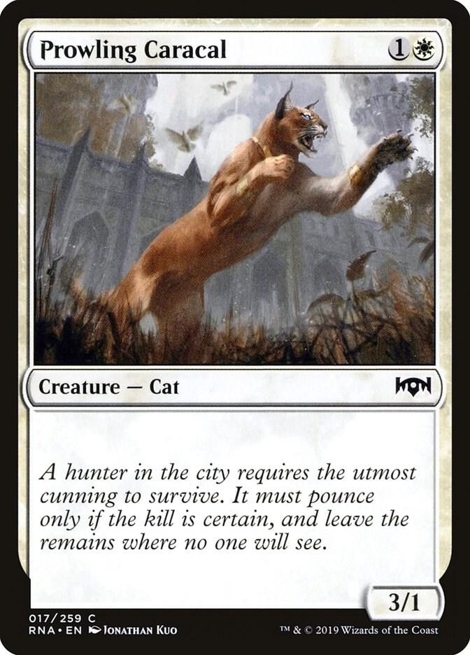 Prowling Caracal 17/259 (Ravnica Allegiance) 
