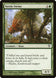 Nettle Swine 186/244 (Avacyn Restored) 