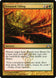Frenzied Tilling 166/249 (Gatecrash) 