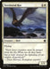 Territorial Roc 43/264 (Dragons of Tarkir) 