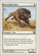 Savannah Lions 41/350 (9th Edition) 