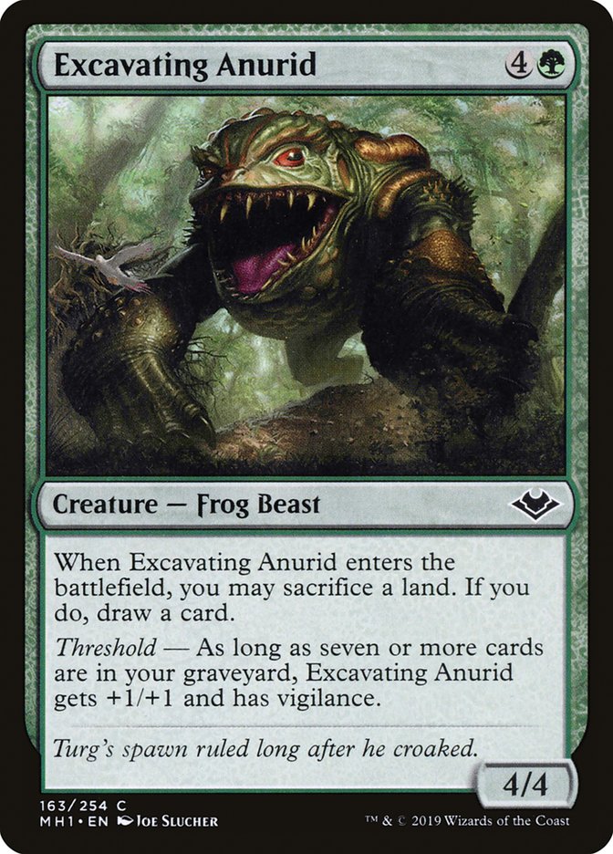 Excavating Anurid 163/254 (Modern Horizons) 