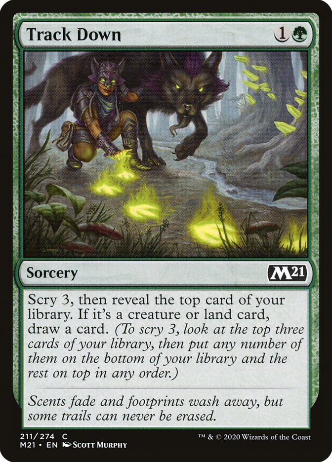 Track Down 211/274 (Core Set 2021) 