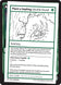 Plant a Sapling // Fully-Grown Treefolk 582/390 (Mystery Booster 2 Playtest Cards) 