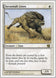 Savannah Lions 43/350 (8th Edition) 